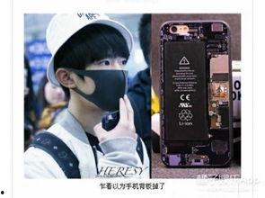 明星网红同款手机壳,潮流趋势一触即发