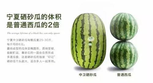 今日宁夏硒砂瓜产地价格,品质之选，健康之选”