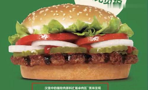 明星网红推广方案怎么写,打造爆款内容，引领潮流风向标