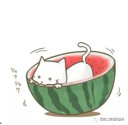 卡通百科老王今日吃瓜,揭秘卡通界的最新热点事件