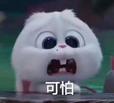 运城今日吃瓜事件真相视频,真相视频曝光背后的真相