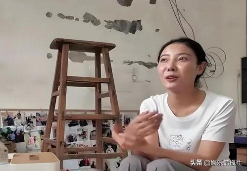 明星网红卖菜视频大全集,卖菜视频大全集精彩回顾