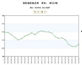 荷兰瓜今日价格行情走势,今日行情走势解析