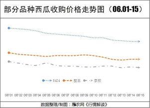 荷兰瓜今日价格行情走势,今日行情走势解析