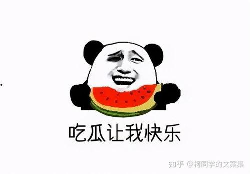 今日吃瓜2021,笑料百出，揭秘娱乐圈风云