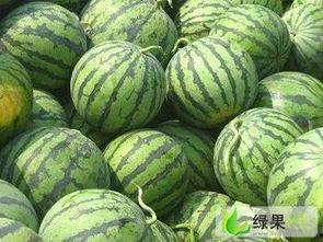通海今日小瓜收购价格,行情波动，市场动态一览