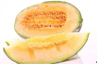 首衡蜜瓜今日价格行情,甜蜜价格波动解析