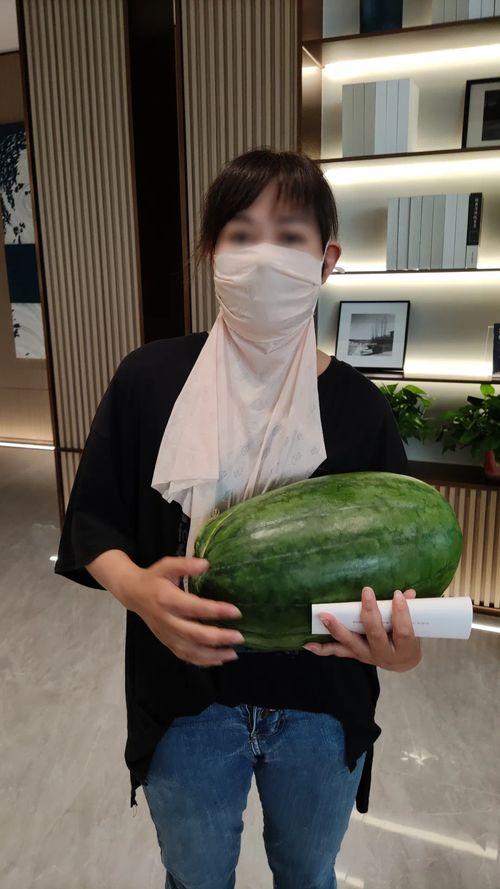 今日大瓜事件,揭秘娱乐圈最新重磅事件！