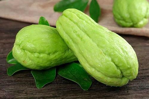 今日寿光瓜菜价,今日价格动态一览”