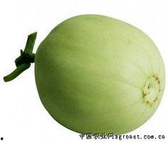 今日寿光瓜菜价,今日价格动态一览”