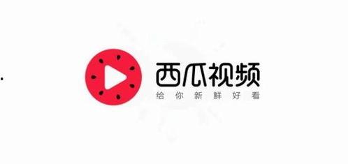 今日头条的瓜,娱乐圈最新重磅瓜料，真相令人震惊！
