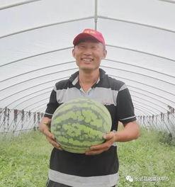 吃瓜群众今日吃瓜视频,揭秘吃瓜群众热传视频背后的故事