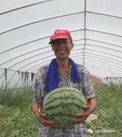 吃瓜群众今日吃瓜视频,揭秘吃瓜群众热传视频背后的故事