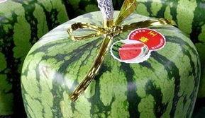 礼品瓜今日价格行情,价格波动解析与市场趋势洞察