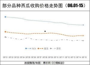 今日旱瓜价格行情走势,今日行情走势解析