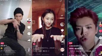 明星网红卖家纺视频大全,网红明星带货力MAX！卖家纺视频大全盘点