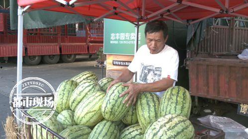 今日三月瓜价格,市场动态解析与趋势展望”