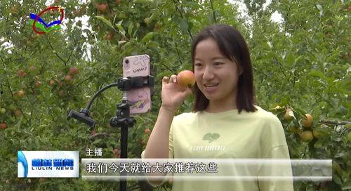 今日主播瓜,揭秘娱乐圈幕后风云
