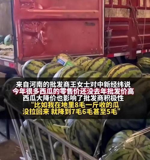 唐山毛瓜今日价格,市场行情一览”