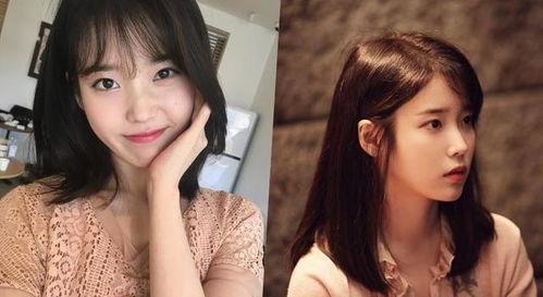 女生理想型明星网红,揭秘女生心中的理想型明星网红