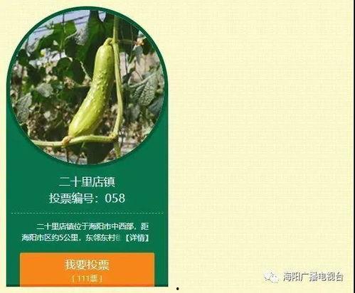 海阳白瓜今日价格,市场行情一览”