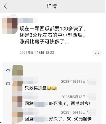 今日瓜价上涨了吗,今日市场行情一览