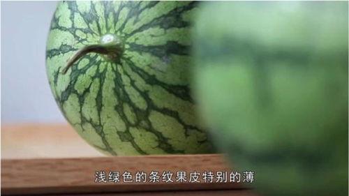 老一辈的瓜能有多炸裂今日说法,揭秘今日瓜能有多炸裂