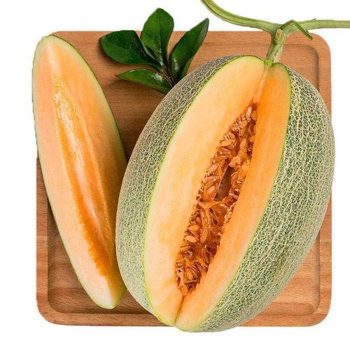 昆明小蜜瓜今日价格表,新鲜上市，品质优价实惠