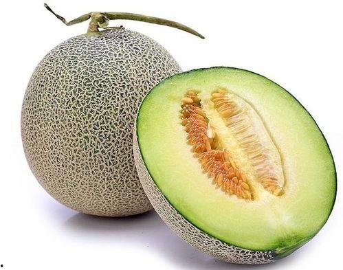 今日网纹瓜价,市场行情一览