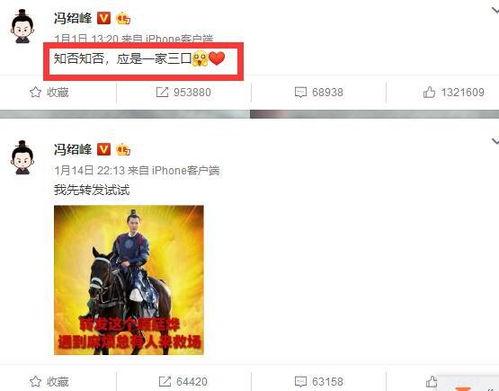 今日吃瓜的爆料,揭秘娱乐圈最新爆料，真相令人震惊！