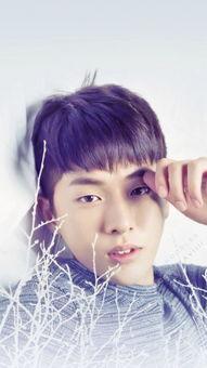 明星网红小鲜肉照片图片,明星网红魅力瞬间捕捉