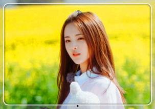 拍摄明星网红视频怎么拍,揭秘视频拍摄技巧全攻略