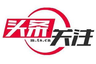 今日头条黄金蜜瓜,夏日里的甜蜜诱惑，尽享瓜果盛宴