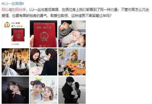 明星网红时代该结束了吧,明星网红现象的反思与展望