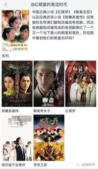 明星网红时代该结束了吧,明星网红现象的反思与展望