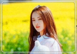 明星网红用什么软件拍照,揭秘热门拍照软件