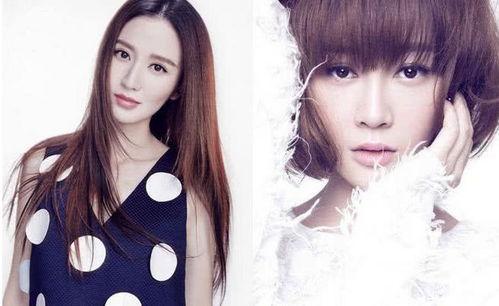 明星网红谁最火的,2023年度最火爆明星网红盘点