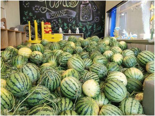 长春今日吃瓜新闻视频,揭秘热门事件背后的真相