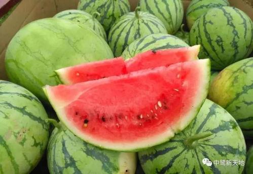 5今日吃瓜,揭秘娱乐圈最新热点事件