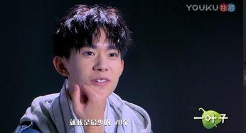 尤里芸吕明星网红战队,跨界融合，闪耀娱乐新篇章