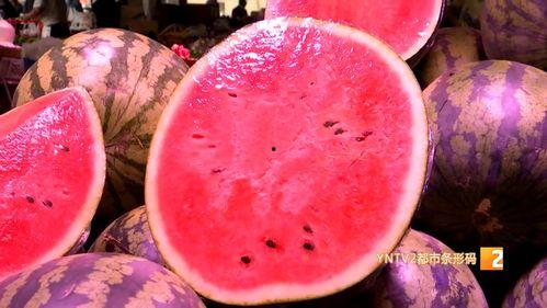 今日麒麟瓜价格最新,市场波动下的最新动态解析