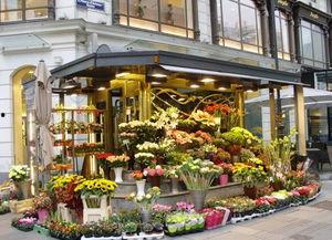 五一今日吃瓜-唐山花店