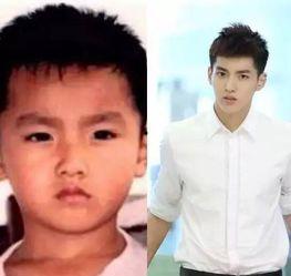 胖男士明星网红图片大全,幽默风趣，魅力四射