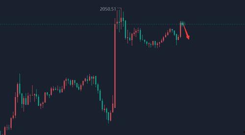 小瓜今日行情走势分析最新,洞察今日走势新动向