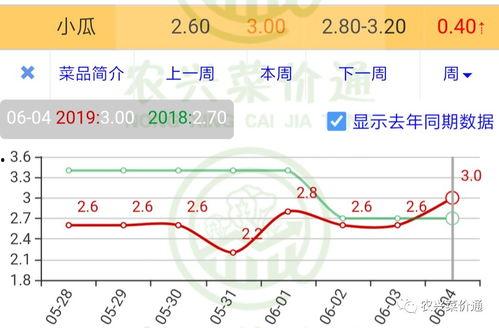 小瓜今日行情走势分析最新,洞察今日走势新动向