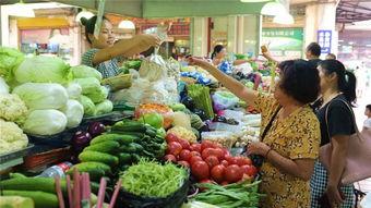 海口今日瓜菜价格表,新鲜直供，实惠可见