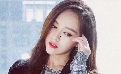 南传明星网红合集图片,明星云集的时尚盛宴