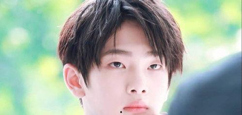 南传明星网红合集图片,明星云集的时尚盛宴