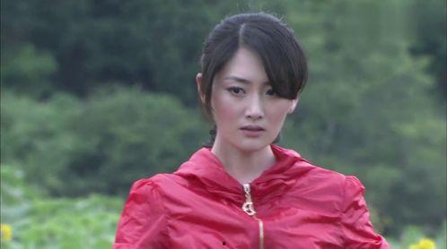 河北传媒的明星网红有谁,璀璨星光下的网络新势力