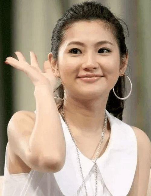 明星网红是高危职业吗,高危职业背后的真相与挑战